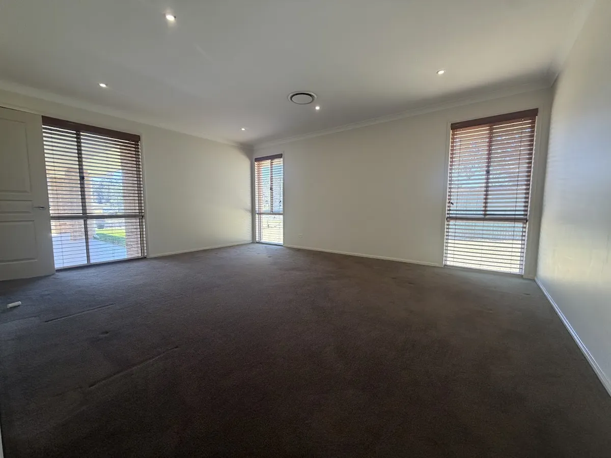 Carpeted media room