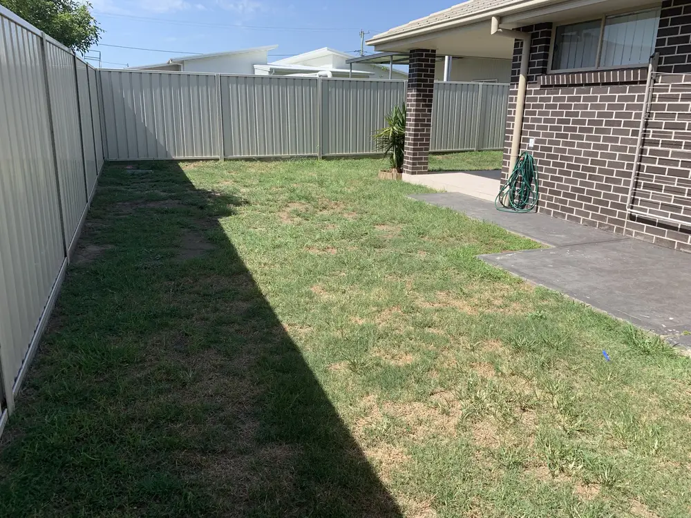 Side of the backyard
